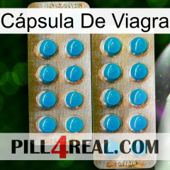 Cápsula De Viagra new08